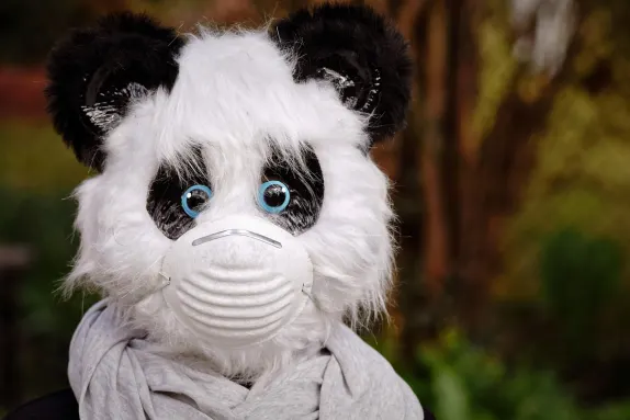 카지노 볼케이노 빙고 지원